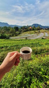Mencicipi Cita Rasa Kopi Tubruk Gayo, Toraja, dan Bali