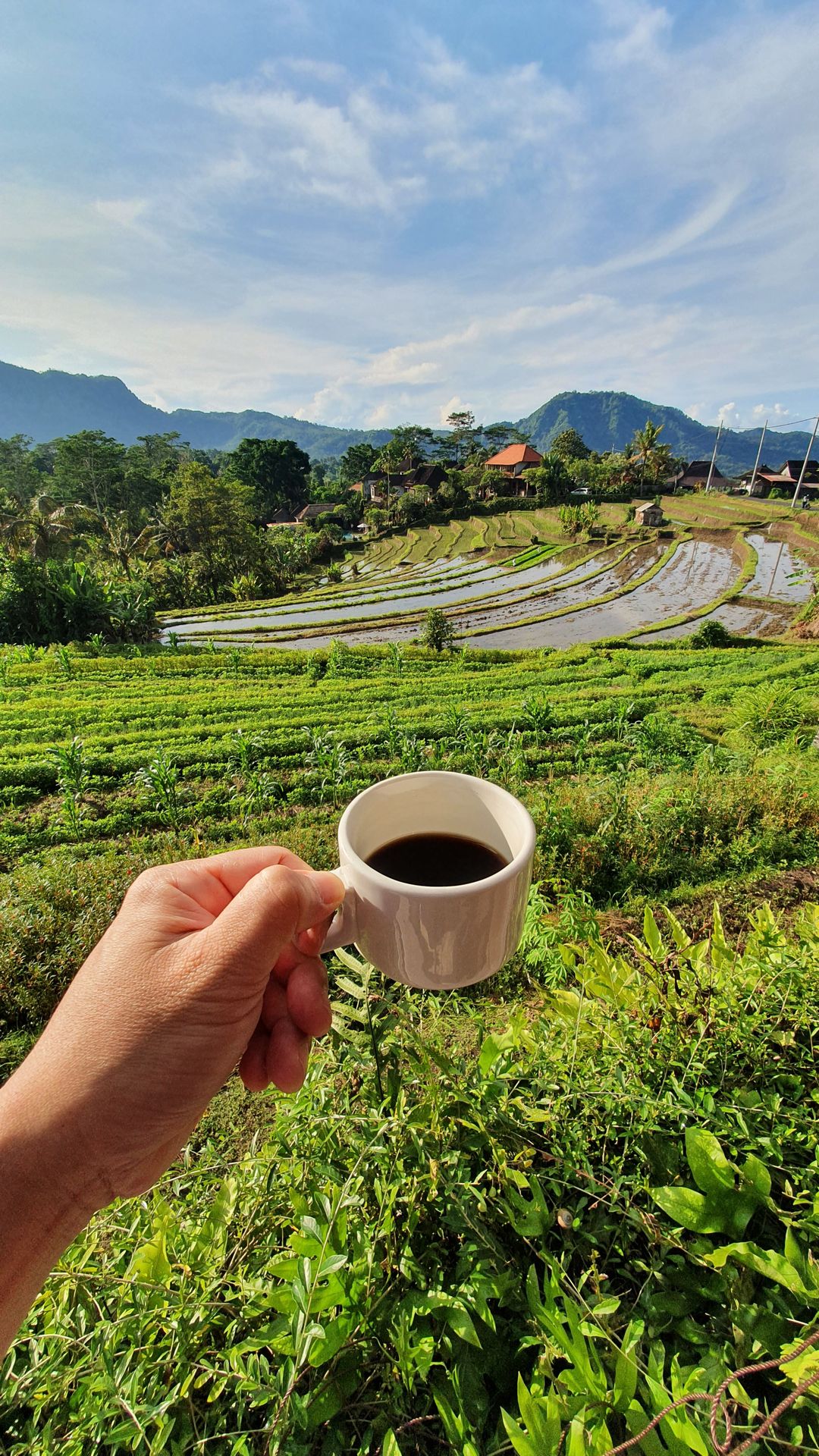 Mencicipi Cita Rasa Kopi Tubruk Gayo, Toraja, dan Bali