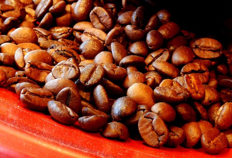 Panduan Profil Roasting Kopi Tubruk: Dark Roast vs Medium Roast