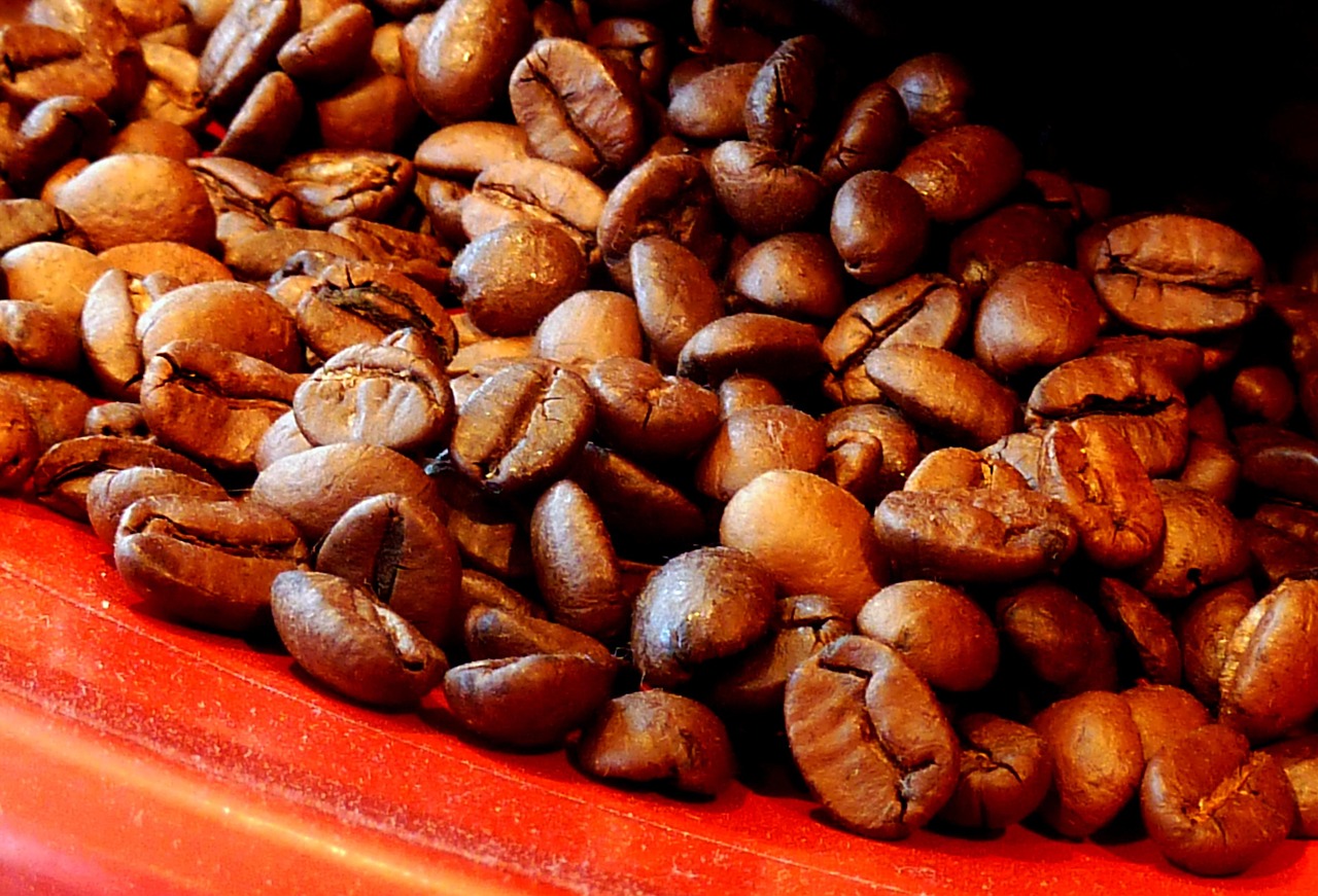 Panduan Profil Roasting Kopi Tubruk: Dark Roast vs Medium Roast