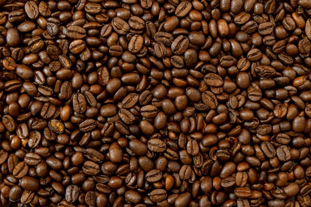 Karakteristik Kopi Robusta Dampit Malang untuk Seduhan Tubruk Pekat