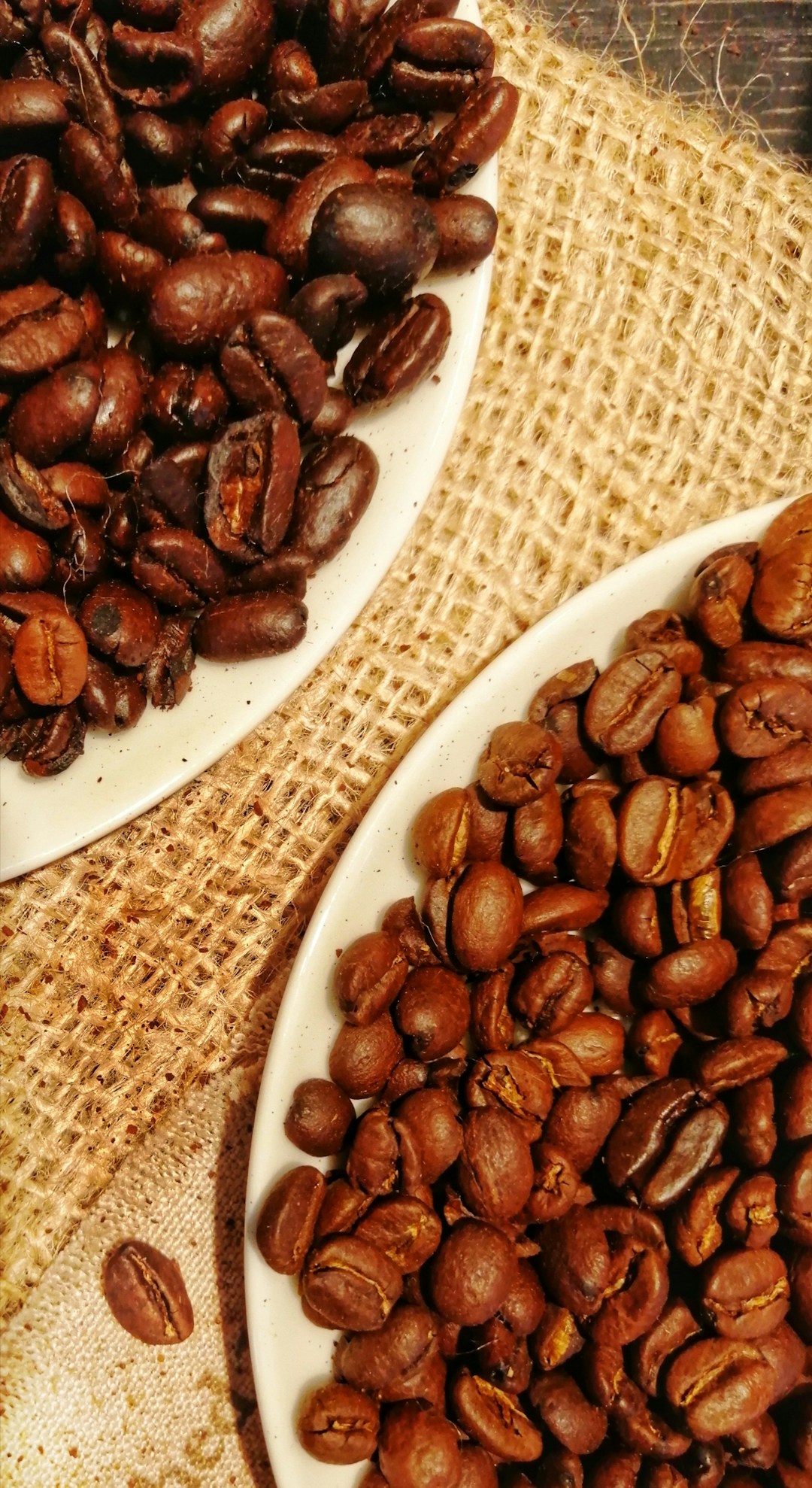 Kopi Tubruk Robusta vs Arabika: Mana yang Lebih Nikmat?