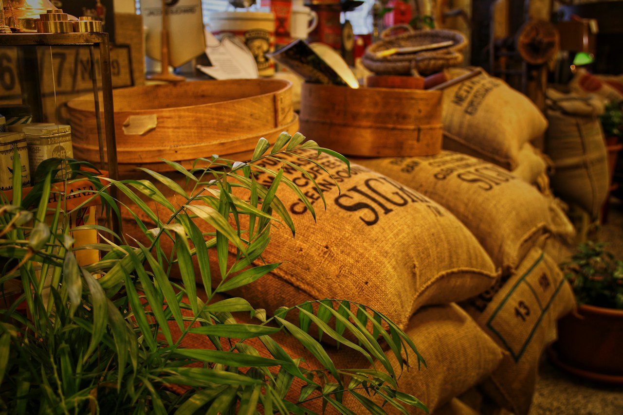 Karung goni berisi biji kopi mentah hasil panen perkebunan