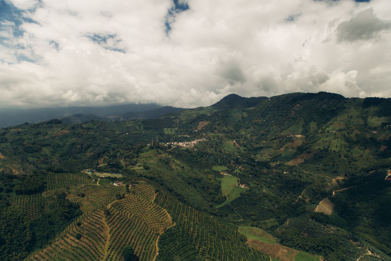 Lembah hijau subur di antara pegunungan tempat budidaya kopi nusantara
